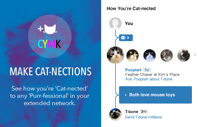 How-You're-Cat-nected-Sidebar