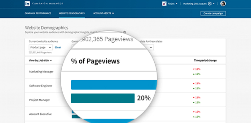 LinkedIn Website Demographics