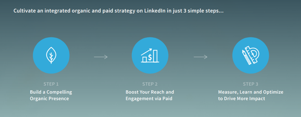 A Guide To Social Media Marketing Strategy For Small - 