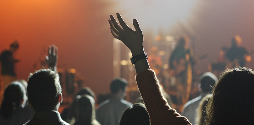 Fans At A Concert