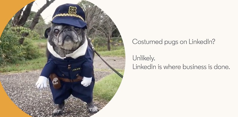 A pug dressed up in a police costume with the tagline: Costumed pugs on LinkedIn. Unlikely. LinkedIn is where business is done.