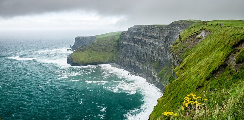 Irish Marketing Triumphs