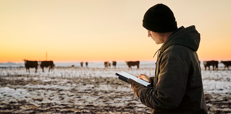 What’s Trending: Learning on the Job