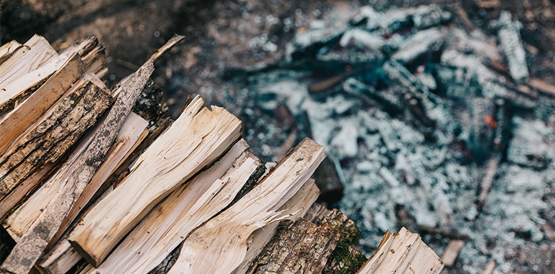A Pile of Firewood Next to an Extinguished Campfire
