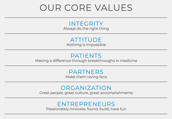 types of organizational culture