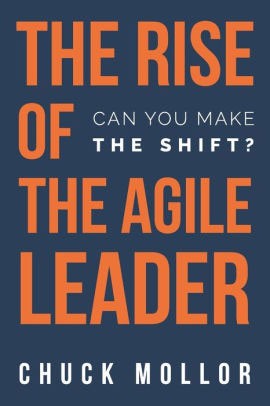 Book cover for