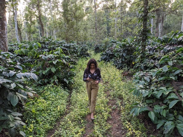 picture-of-deepti-walking-in-a-jungle