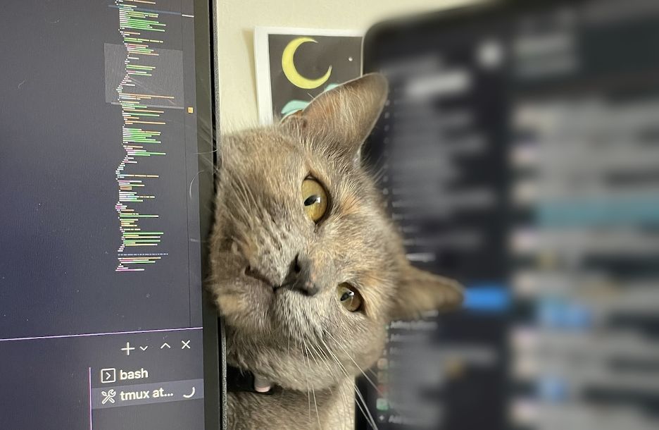 beatrixs-cat-next-on-her-desk