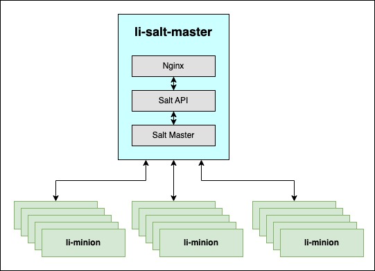 Image of individual li-salt-master setup with few li-minion