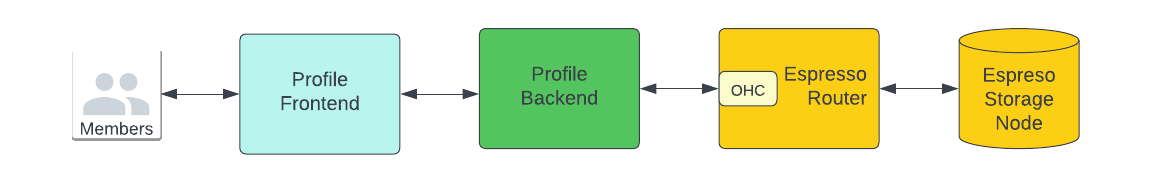 Illustration of Data flow for a profile view or update
