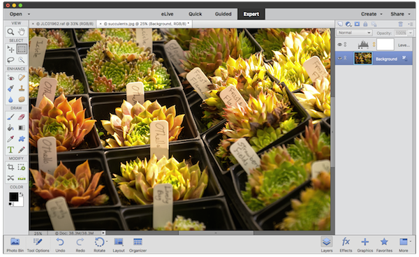 adobe photoshop elements 15 works for both pc and mac