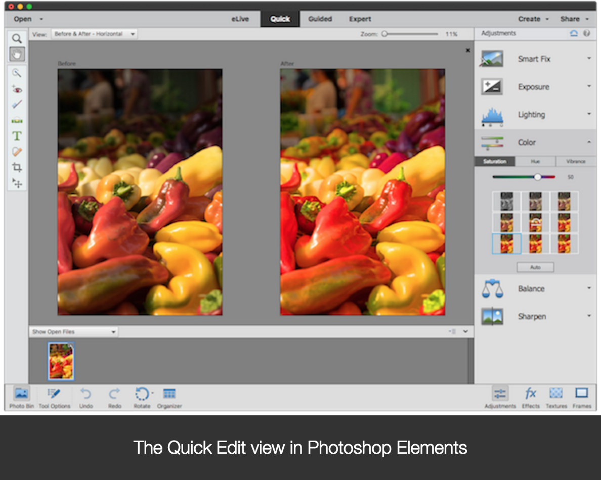 adobe photoshop vs adobe photoshop elements