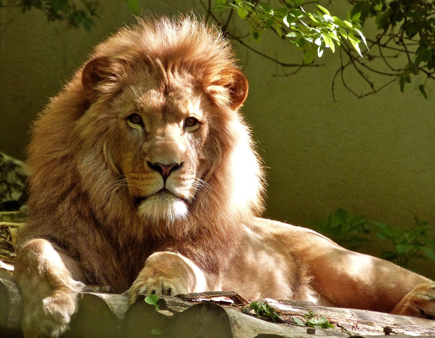 To be seen as a leader at work, you need to embody these qualities.
