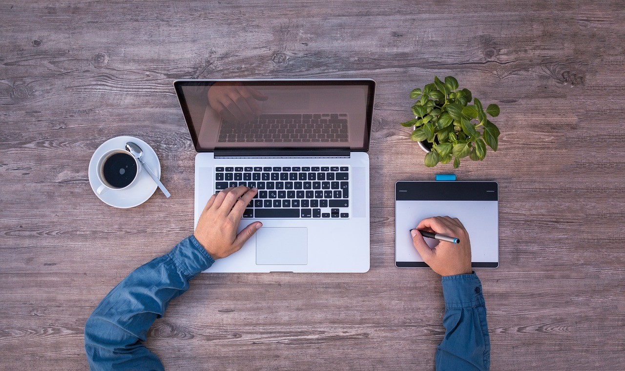 Learn Adobe CC 19 suite.