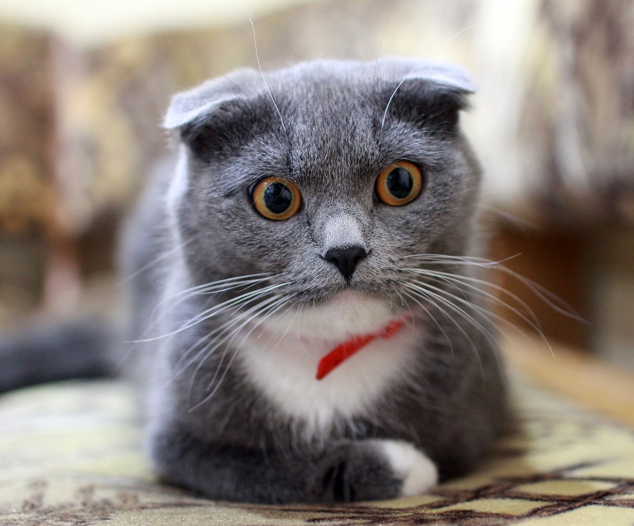 Here's how to respond when you are caught off-guard with unexpected bad news.