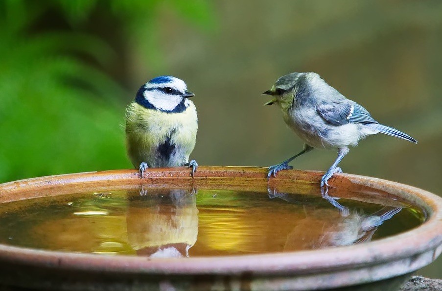 Learn how to be a great conversationalist by avoiding these questions.