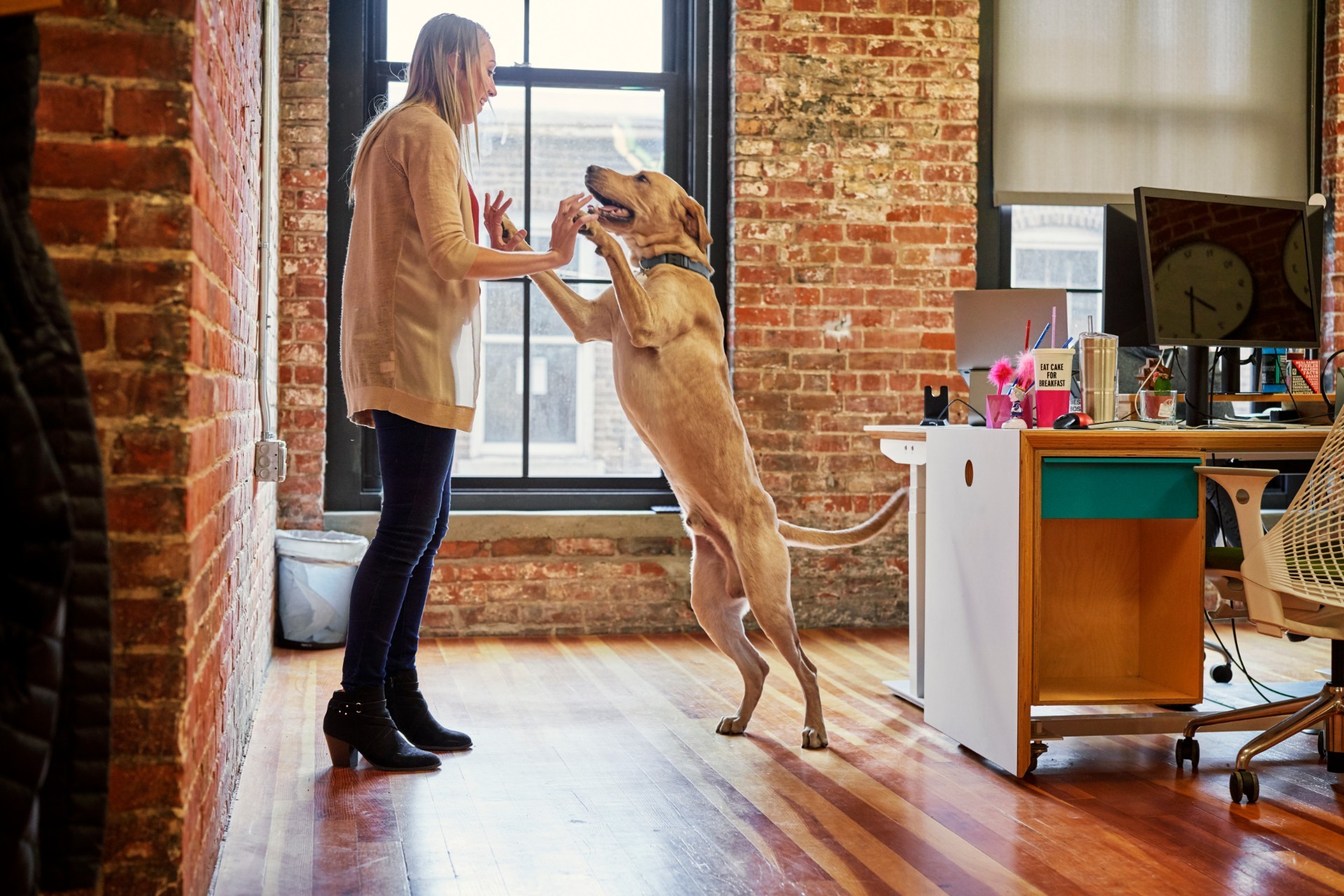 27 New Skills You Can Now Learn on LinkedIn Learning